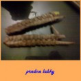 /album/postup-na-zajaca/postup-zajac13-jpg/
